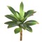 Lifelike 5.5" Artificial Succulent Crassulaceae - Realistic and Low-Maintenance Home Decor, Floral Home by Artificial Flowers